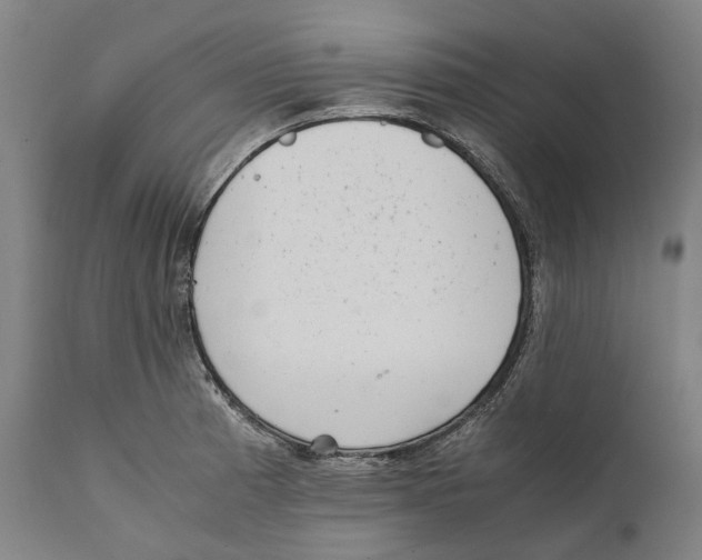 X0000111531185200908111218