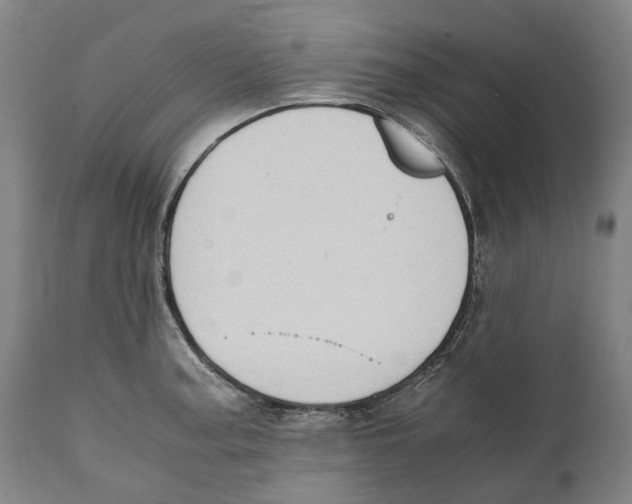 X0000111531187200908111218