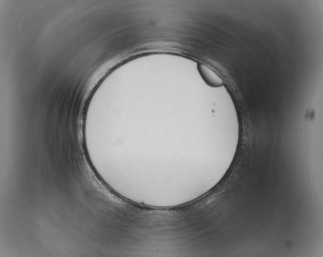 X0000111531188200908111218