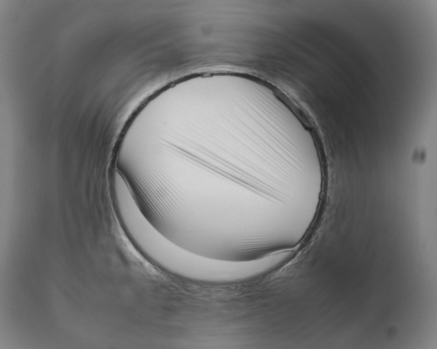 X0000111531189200908111218