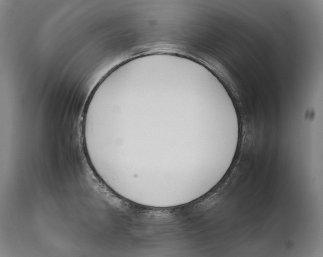 X0000111531190200908111218