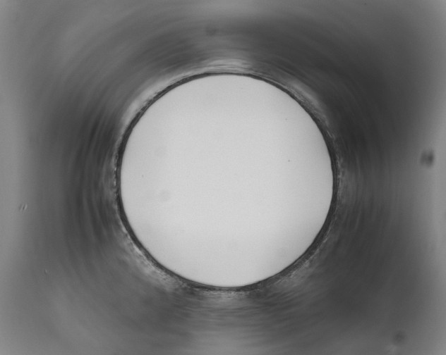 X0000111531192200908111218