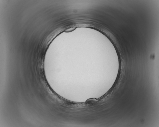 X0000111531193200908111218