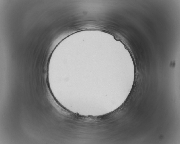 X0000111531195200908111218