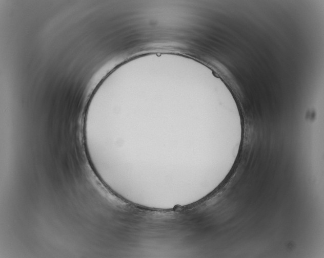 X0000111531196200908111218