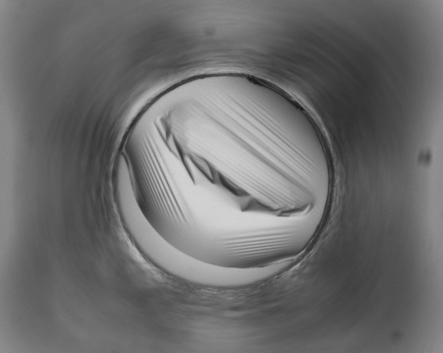 X0000111531197200908111218