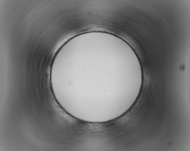 X0000111531198200908111218