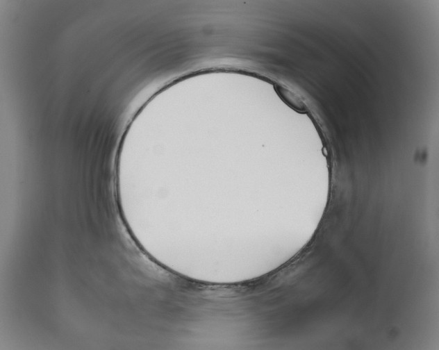 X0000111531199200908111218