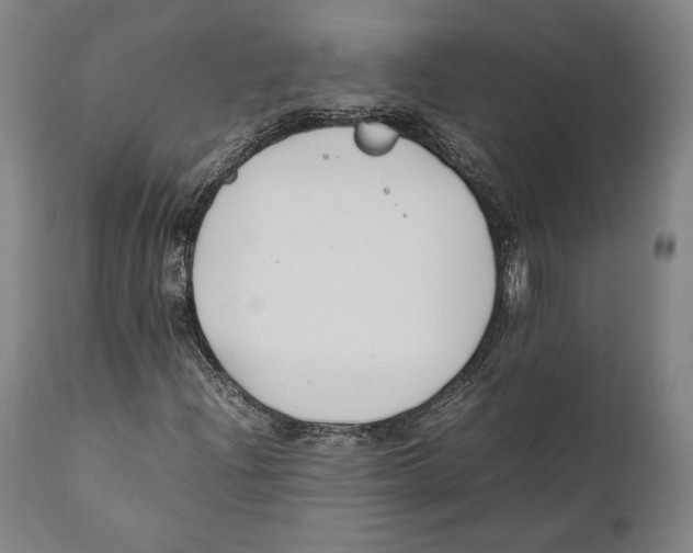 X0000111531204200908111218