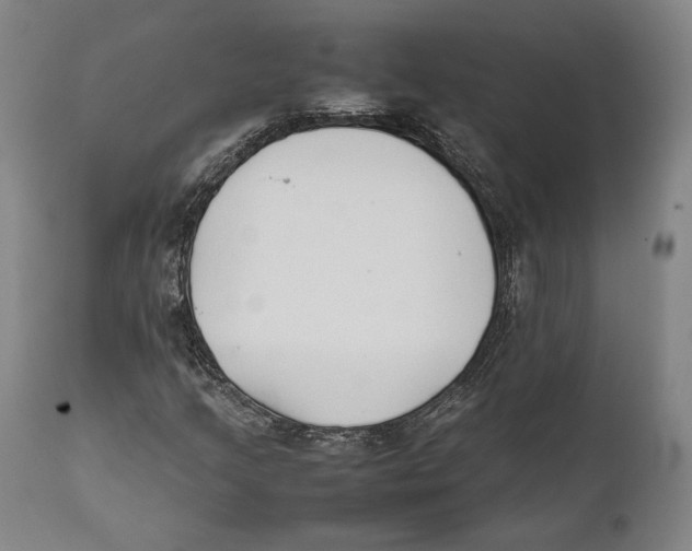 X0000111531205200908111218