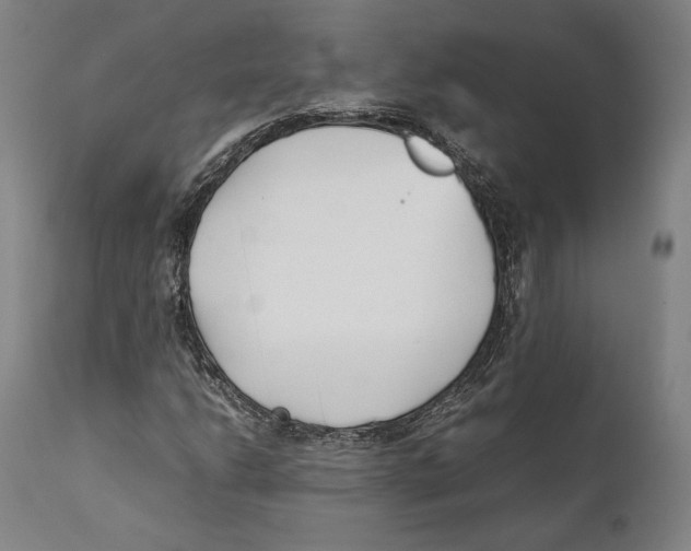 X0000111531206200908111218