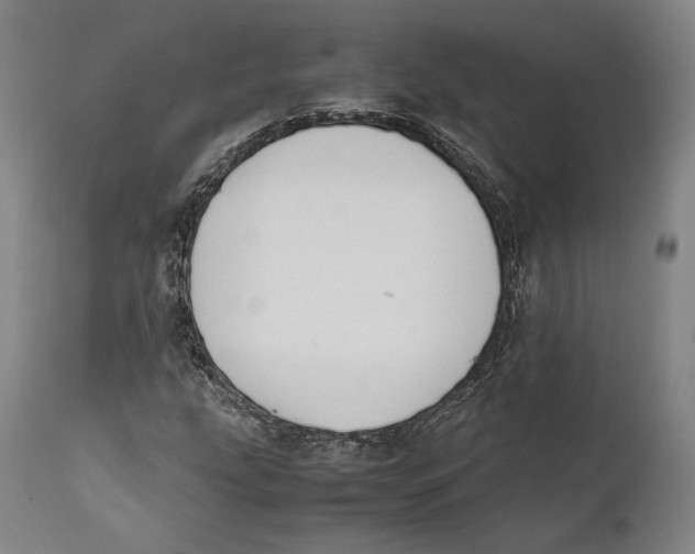 X0000111531207200908111218