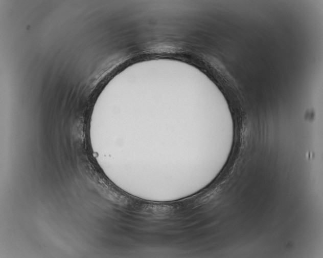 X0000111531209200908111218