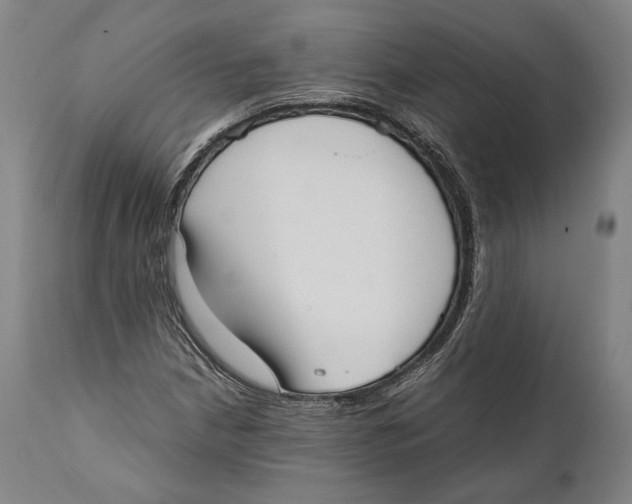 X0000111531210200908111218