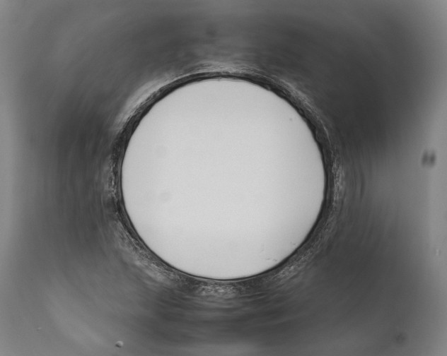 X0000111531215200908111218