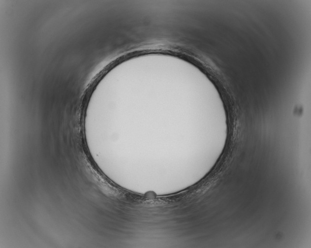 X0000111531216200908111218