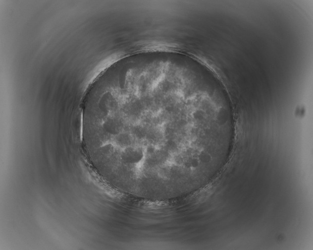 X0000111531219200908111218