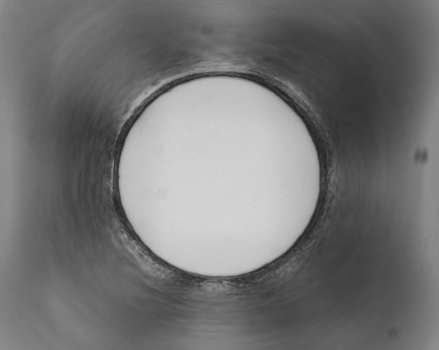 X0000111531220200908111218