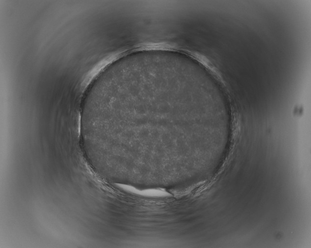 X0000111531221200908111218