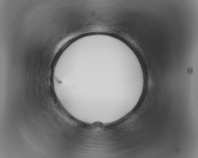 X0000111531222200908111218