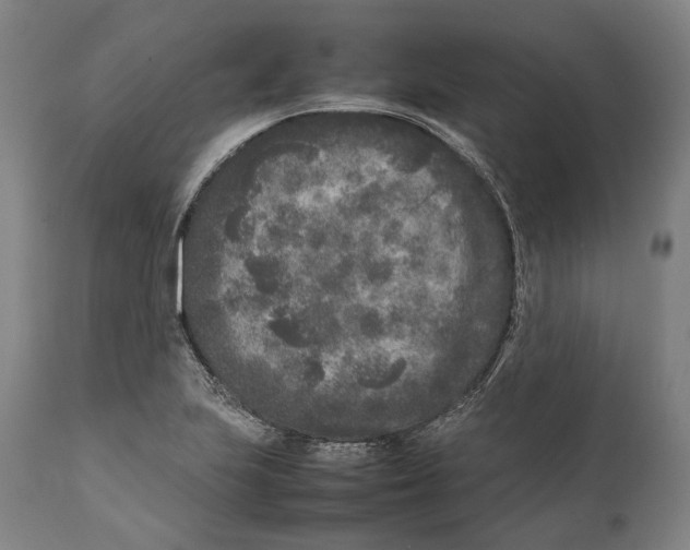 X0000111531223200908111218