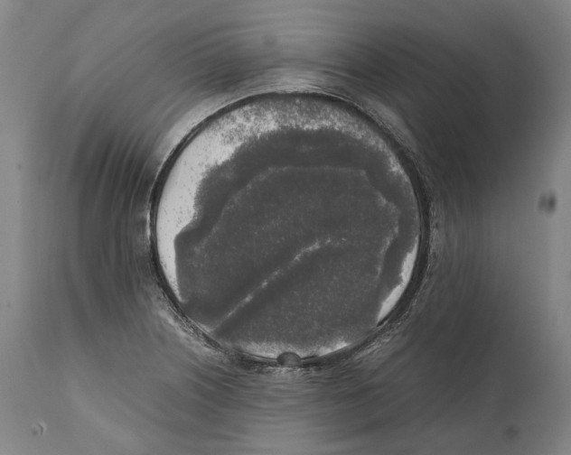 X0000111531226200908111218