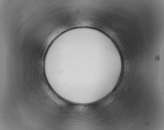 X0000111531234200908111218