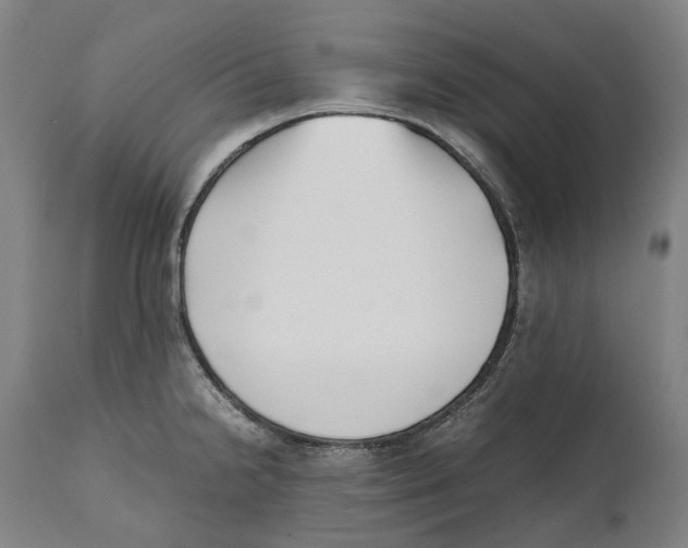 X0000111531238200908111218