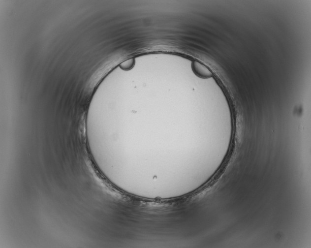 X0000111531241200908111218