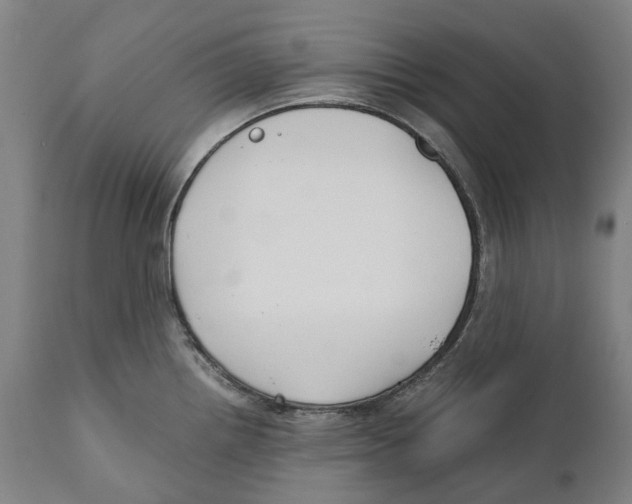 X0000111531242200908111218