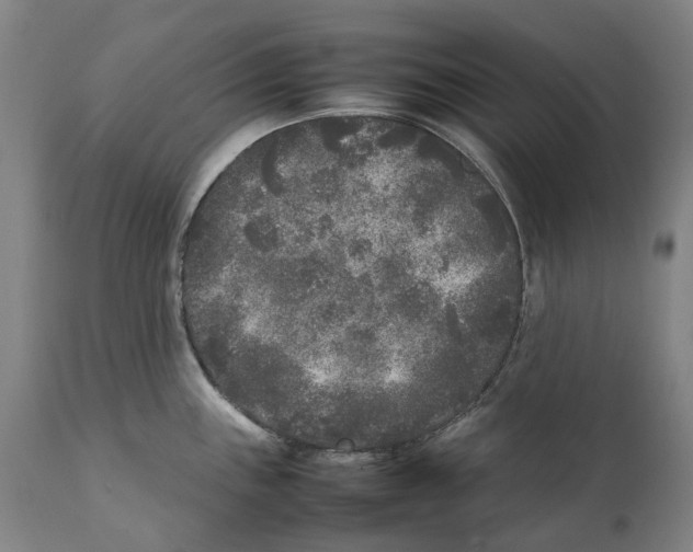 X0000111531243200908111218