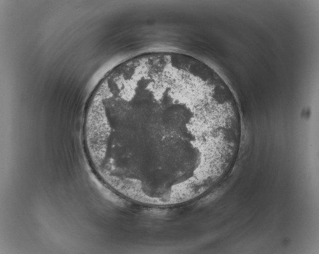 X0000111531245200908111218