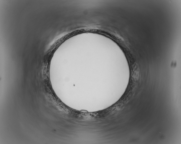 X0000111531255200908111217