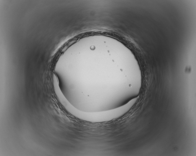 X0000111531256200908111217