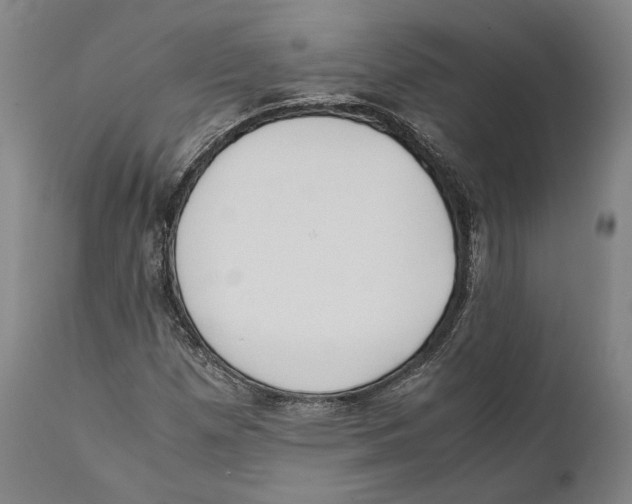 X0000111531257200908111217