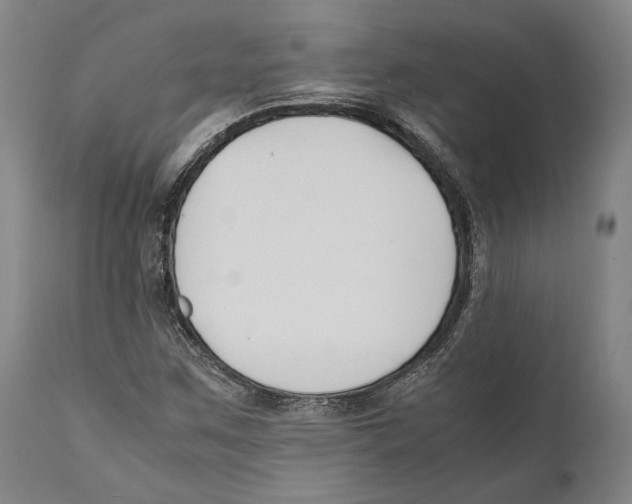 X0000111531259200908111217