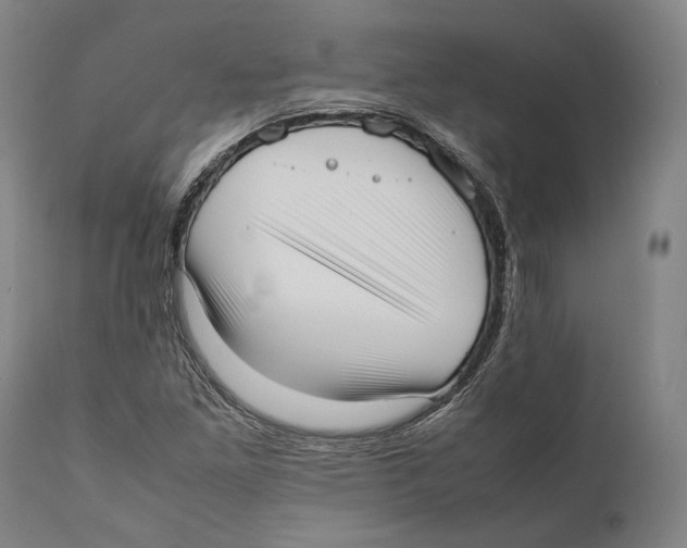 X0000111531261200908111217