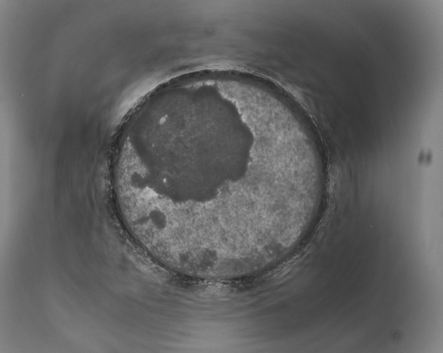 X0000111531263200908111217