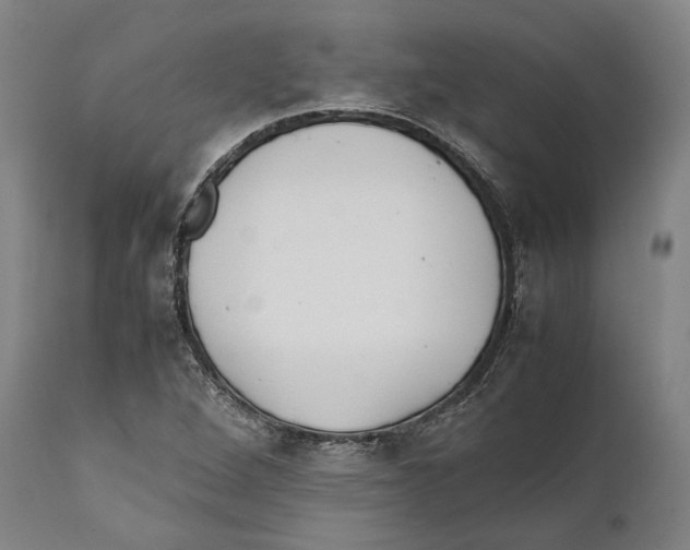 X0000111531264200908111217