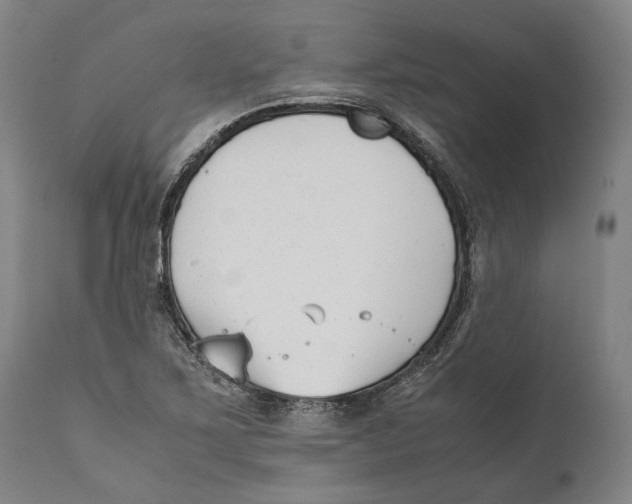 X0000111531267200908111217