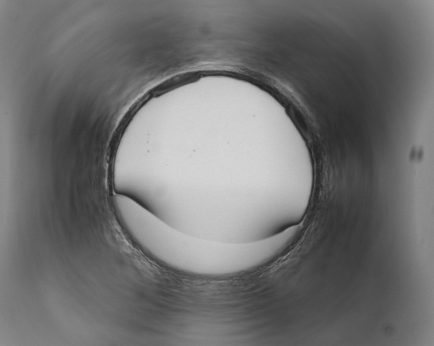 X0000111531268200908111217