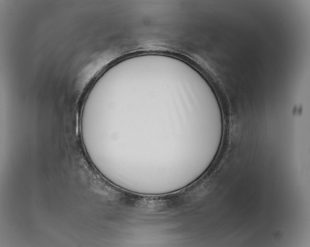 X0000111531269200908111217