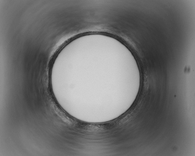 X0000111531270200908111217