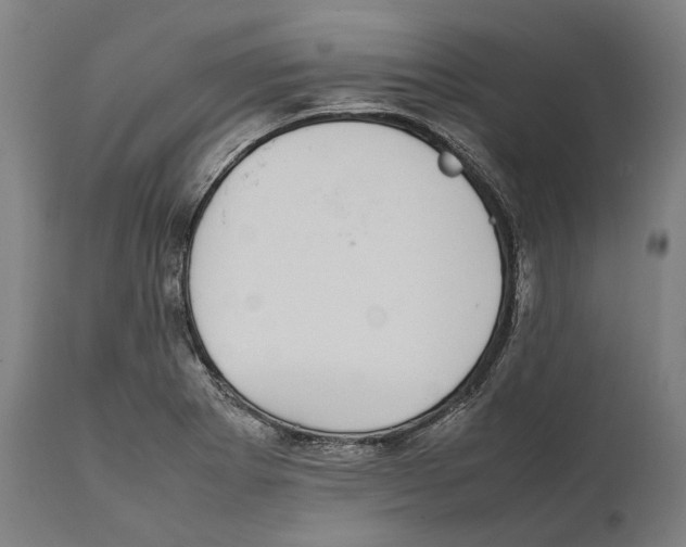 X0000111531273200908111217