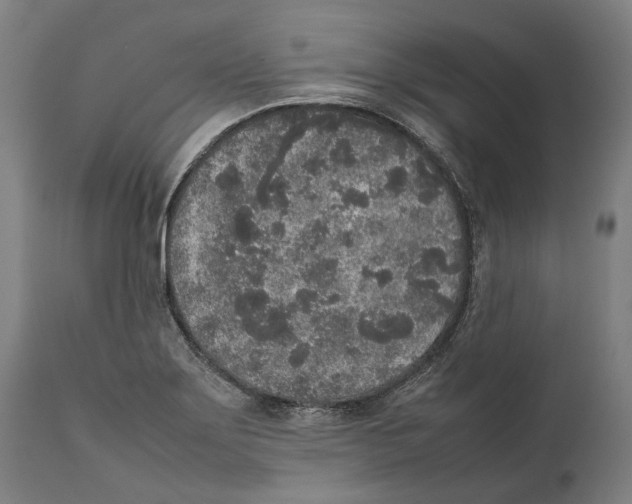 X0000111531275200908111217