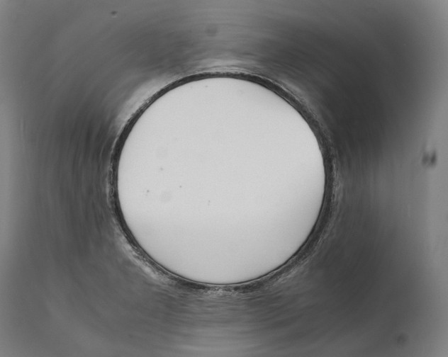 X0000111531277200908111217