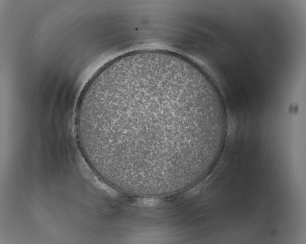 X0000111531278200908111217