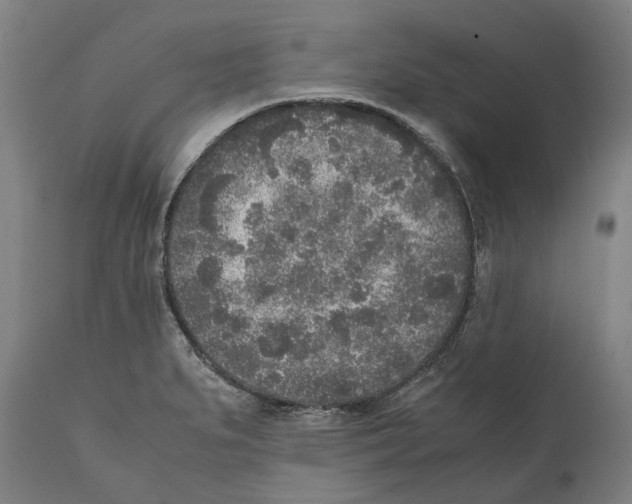 X0000111531279200908111217