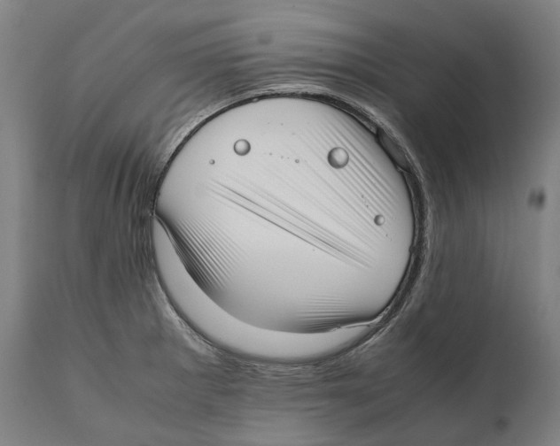 X0000111531281200908111217