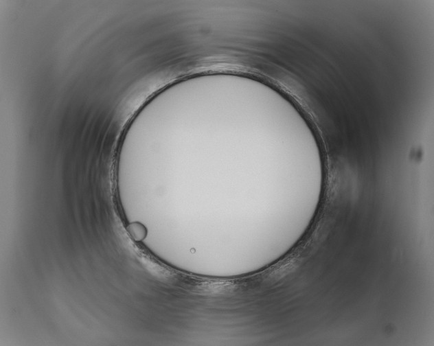 X0000111531282200908111217